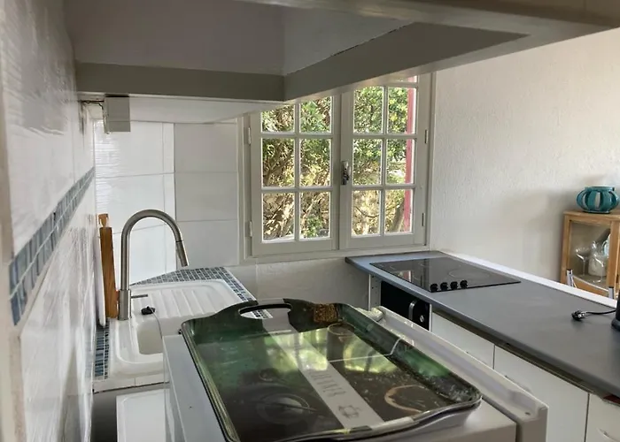 Un Jardin Terrasse Sur La Appartement *